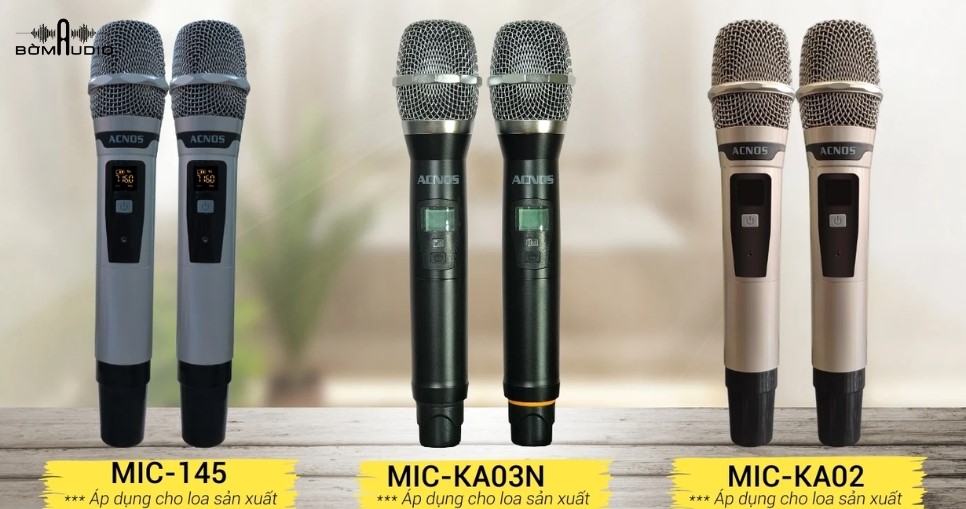 2 tay micro đi kèm