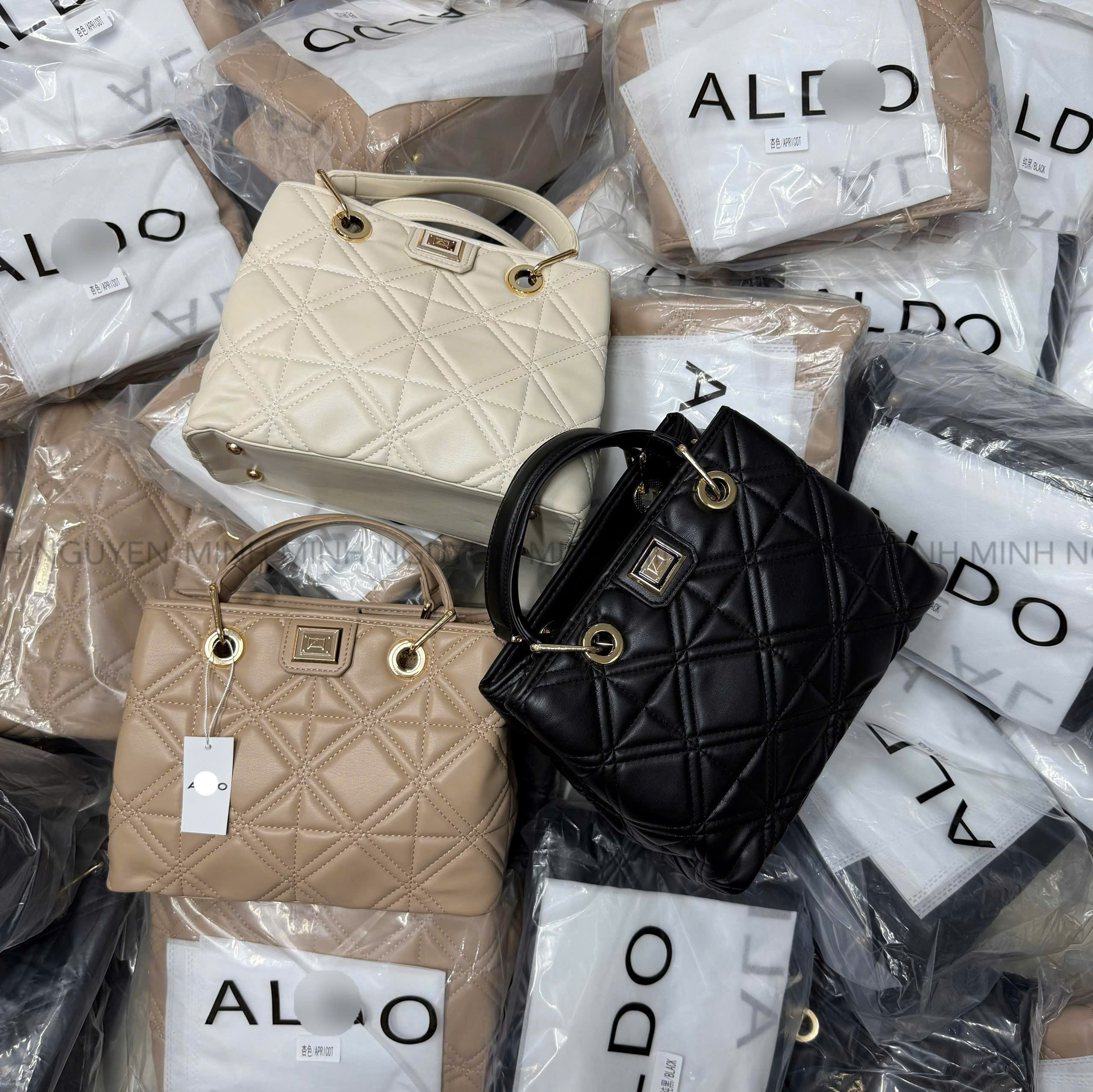 TUI ALDO_thumbnail_5