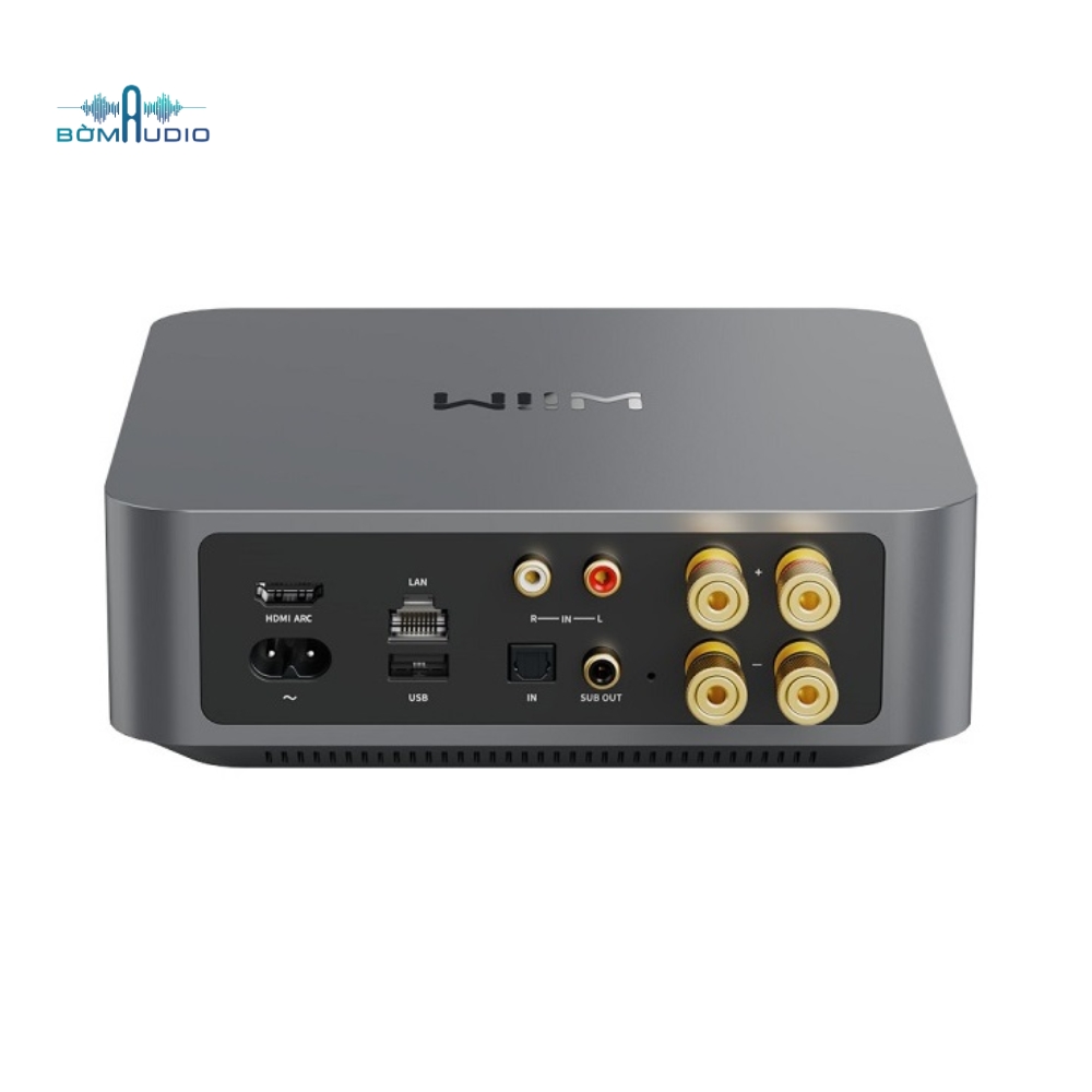 Network Streamer WIIM AMP PRO_thumbnail_3