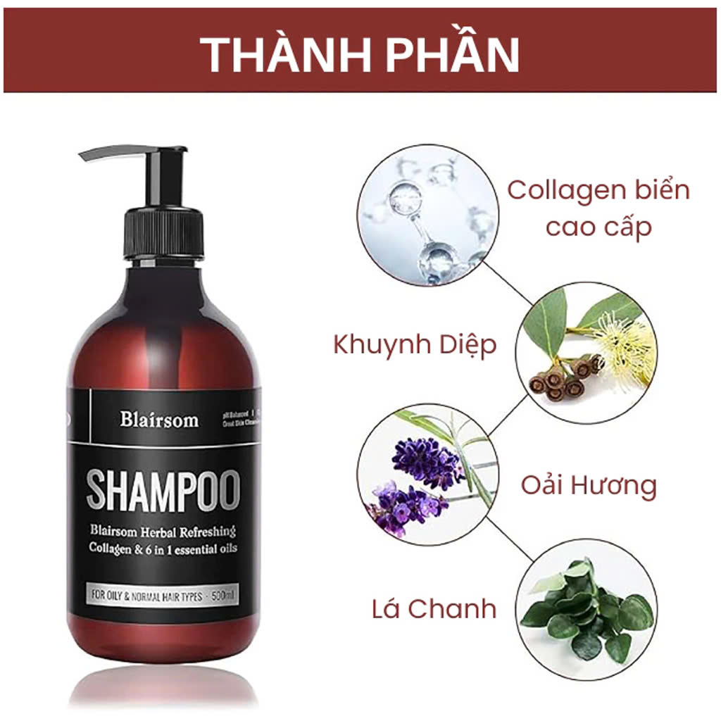 DẦU GỘI & DẦU XẢ BLAIRSOM_thumbnail_6