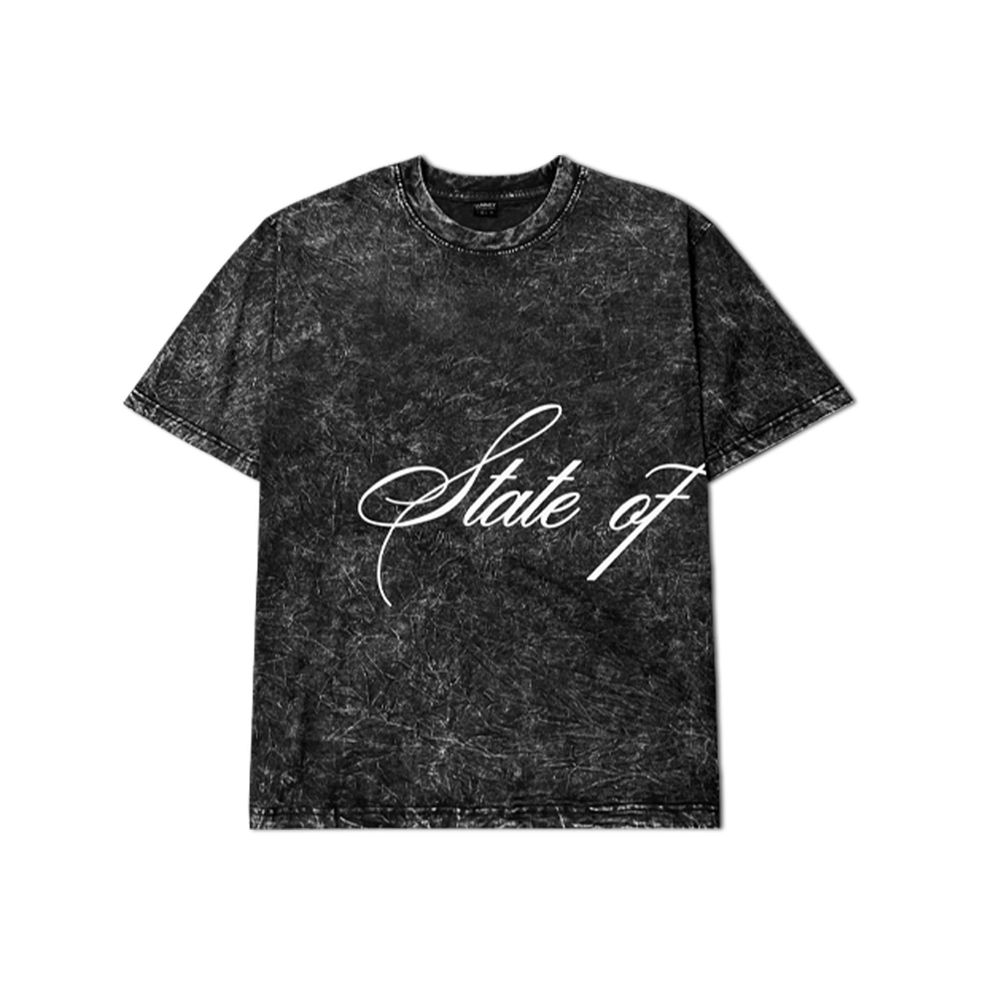"LUNACY" STATE OF DETAIL T-SHIRT COTTON - WASH
