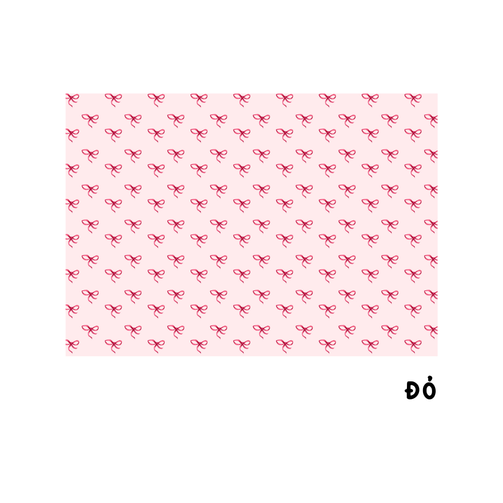 Giấy bao tập NƠ NHÍ Pastel Dễ Thương_thumbnail_6
