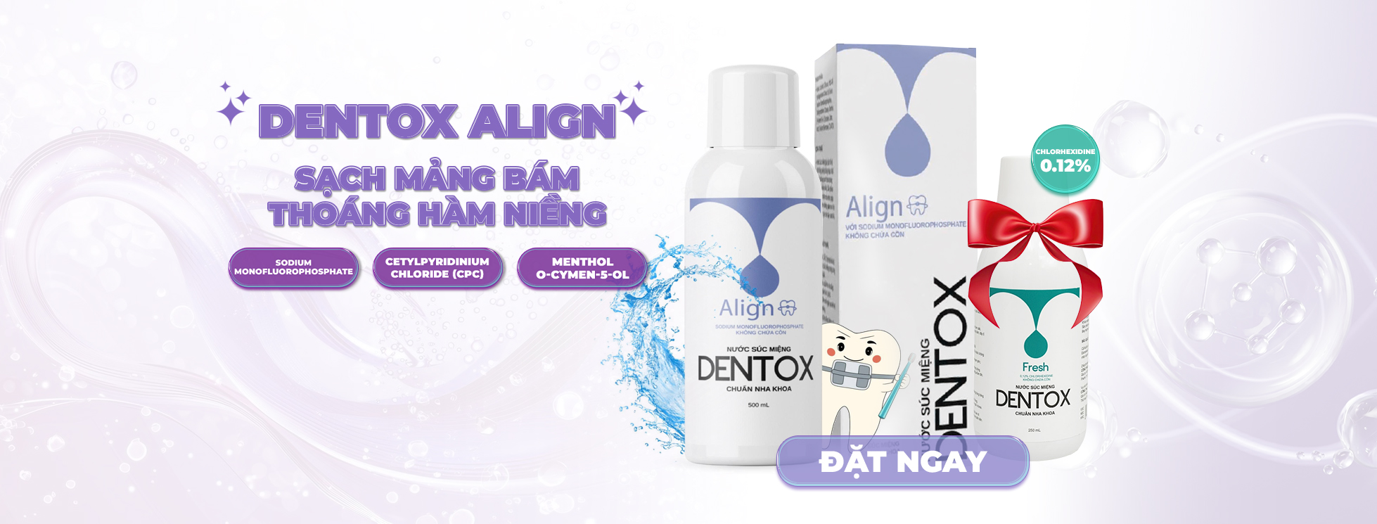 bia2026 dentox A copy