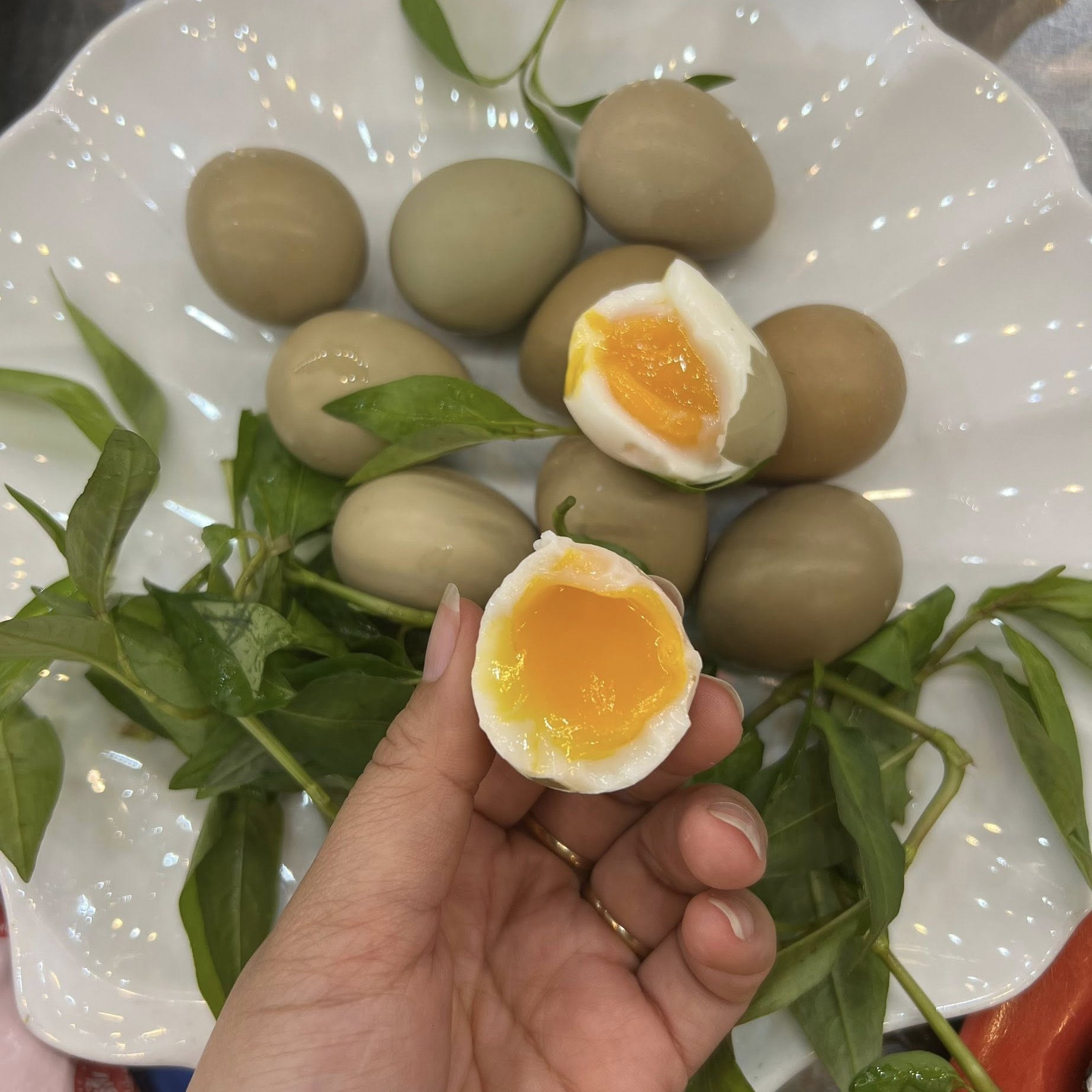 Trứng Chim Trĩ_thumbnail_1
