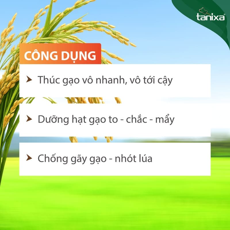 Bộ vô gạo Tanixa_thumbnail_3