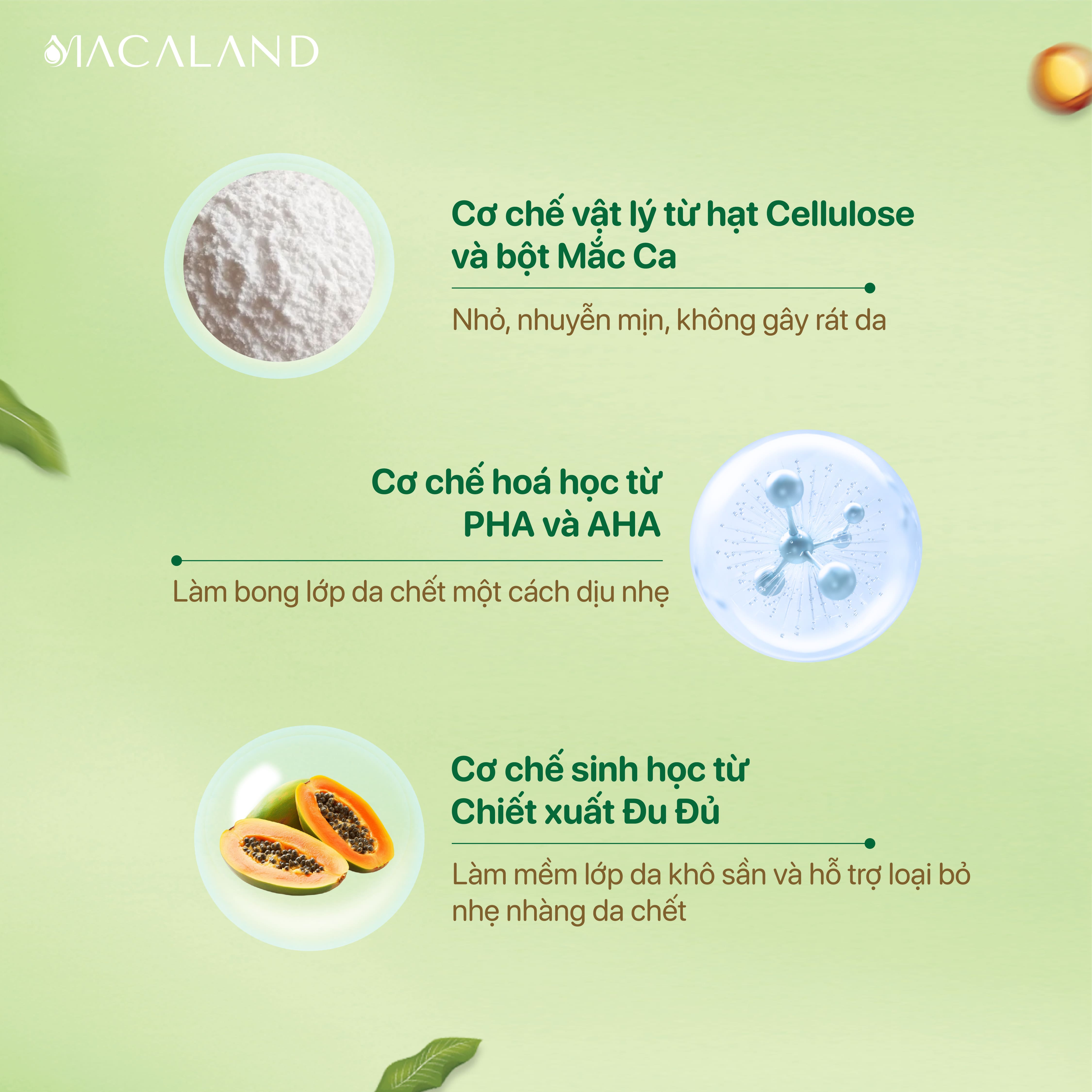 Tẩy Tế Bào Chết Da Mặt Mắc Ca 120g Làm Mịn Da Macaland - Macadamia Smoothing Face Scrub_thumbnail_3