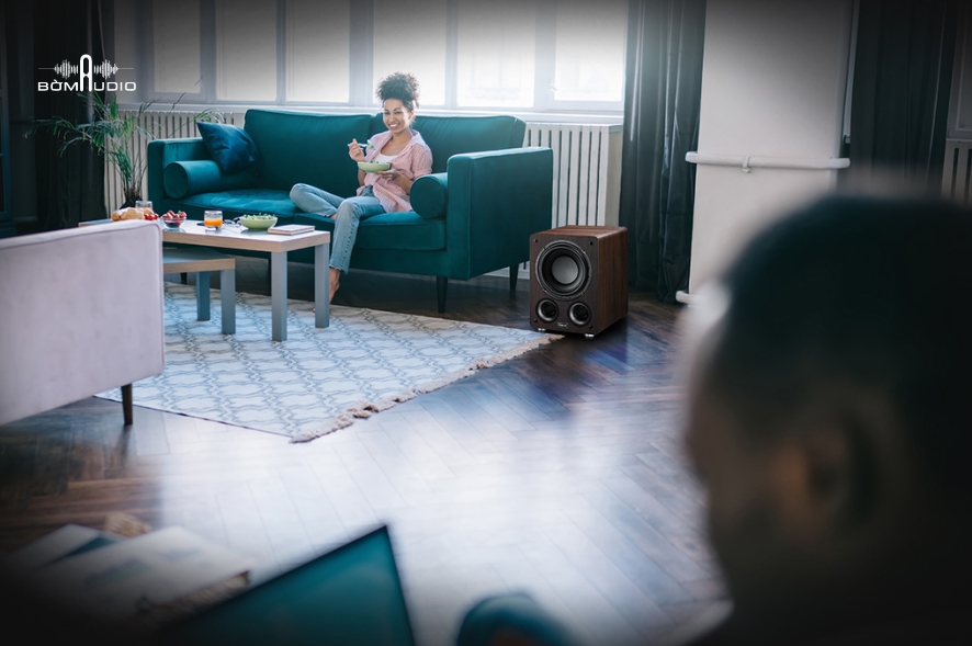 Đánh giá chất lượng loa subwoofer Magnat Alpha RS 12