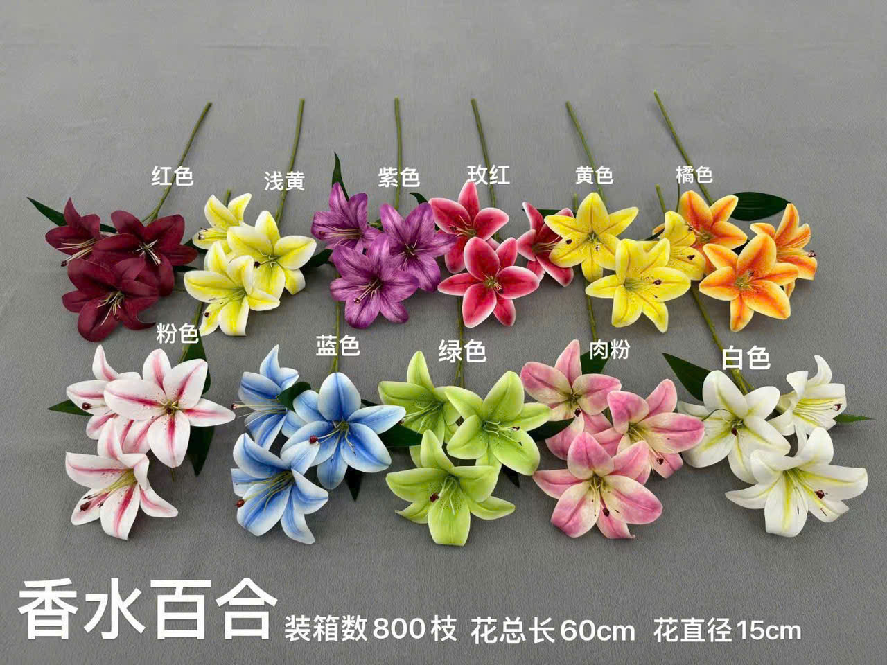 HOA LY CAO SU_thumbnail_12