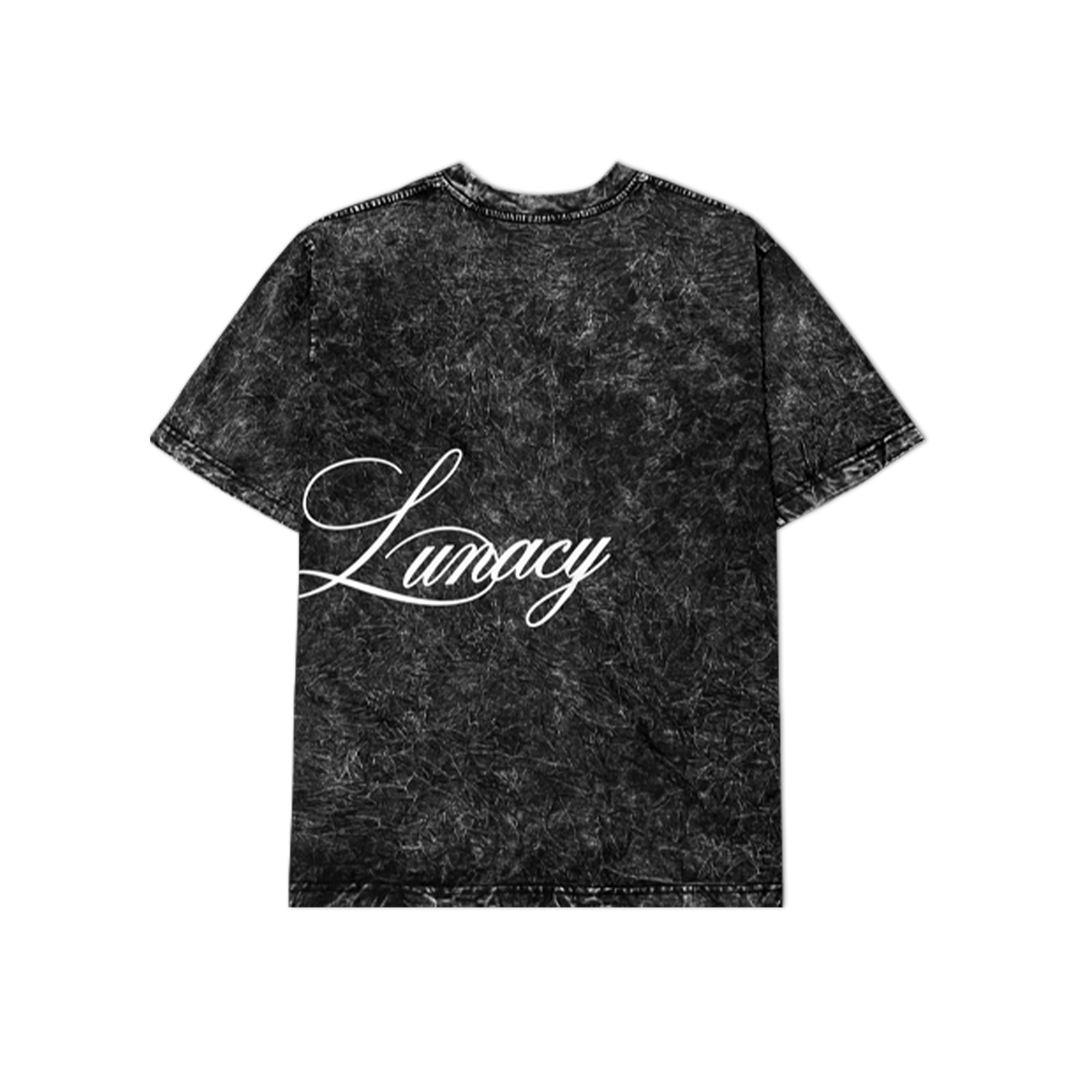 "LUNACY" STATE OF DETAIL T-SHIRT COTTON - WASH