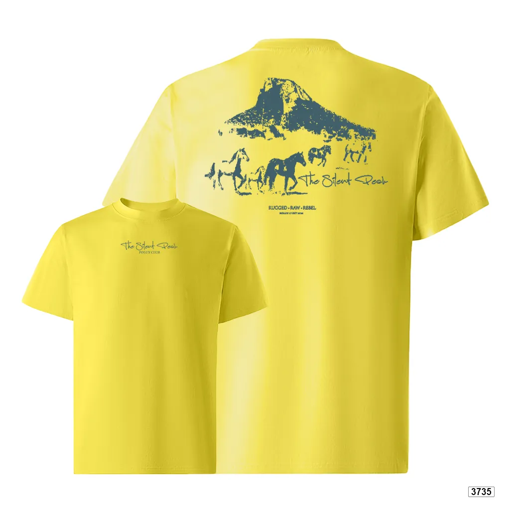 Áo thun nam oversize dày dặn đứng form streetwear style Polux 3735_thumbnail_8