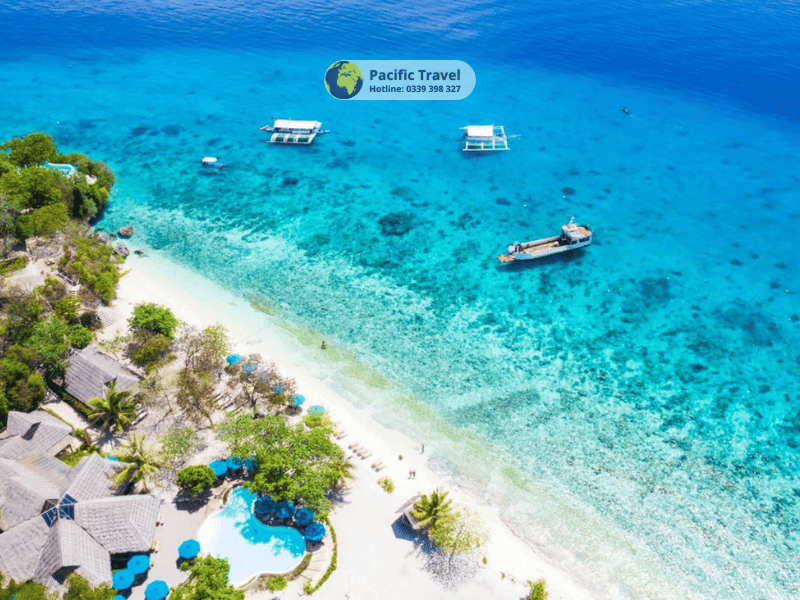 Philippines: Cebu - Oslob - MoalBoal - Lặng ngắm cá mập 4N4Đ