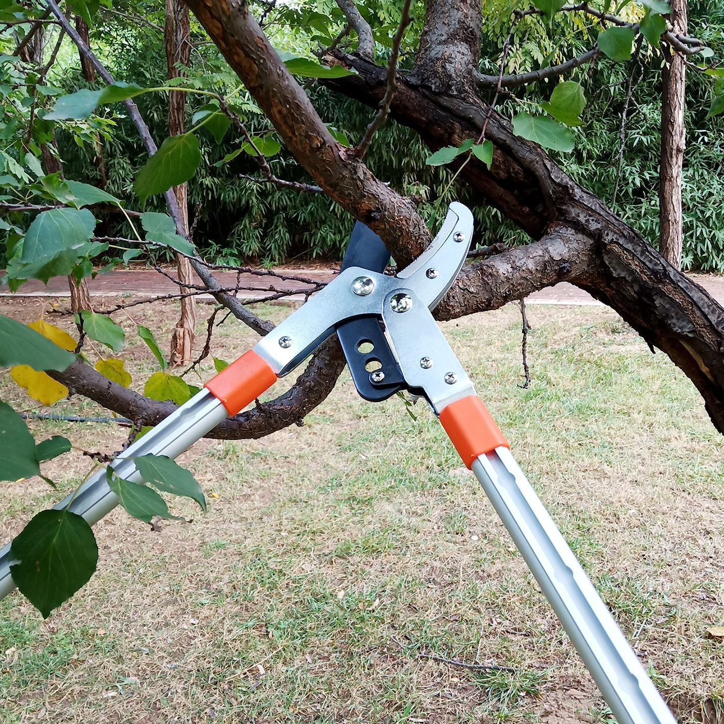 Kìm cắt cành canh SK5_thumbnail_3