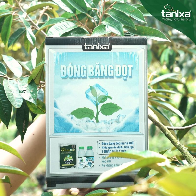 Bộ đóng băng đọt_thumbnail_15