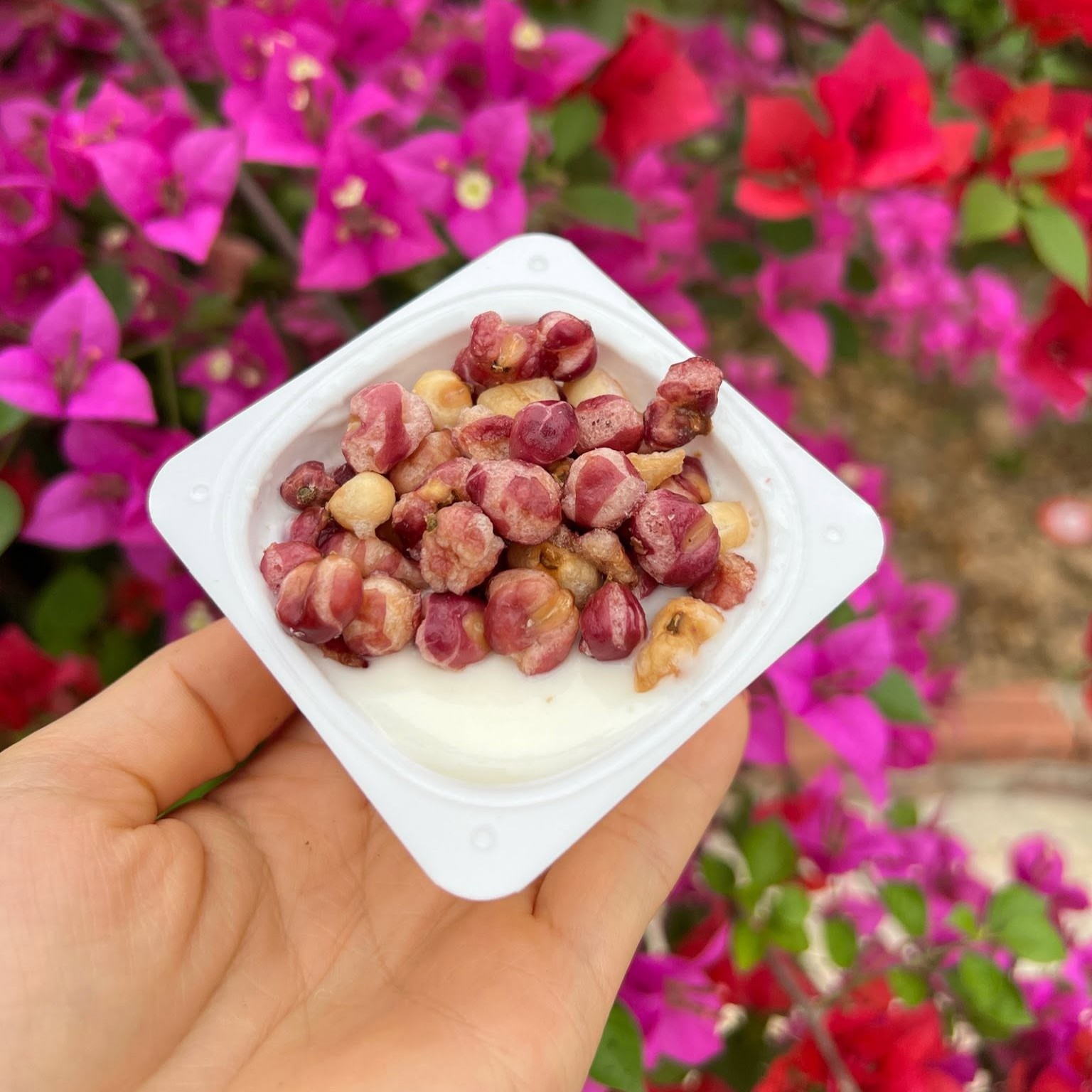 Ngô Nếp Tím_thumbnail_1
