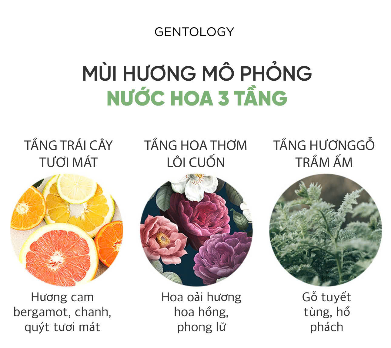 DẦU GỘI & SỮA TẮM TOÀN THÂN 2IN1 GENTOLOGY_thumbnail_7
