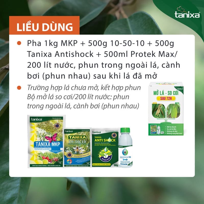 Bộ già lá Tanixa_thumbnail_2