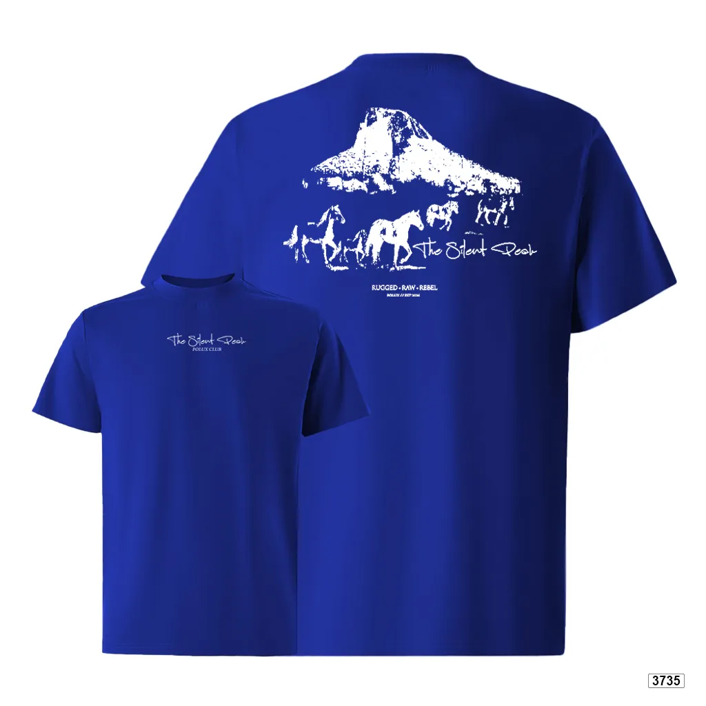 Áo thun nam oversize dày dặn đứng form streetwear style Polux 3735_thumbnail_15