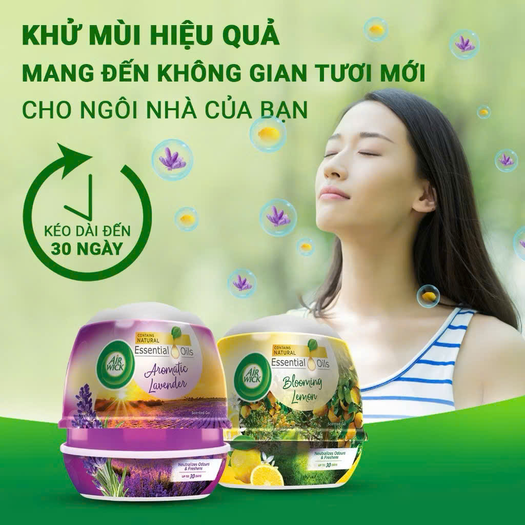 COMBO 3 SÁP THƠM PHÒNG AIR WICK_thumbnail_2