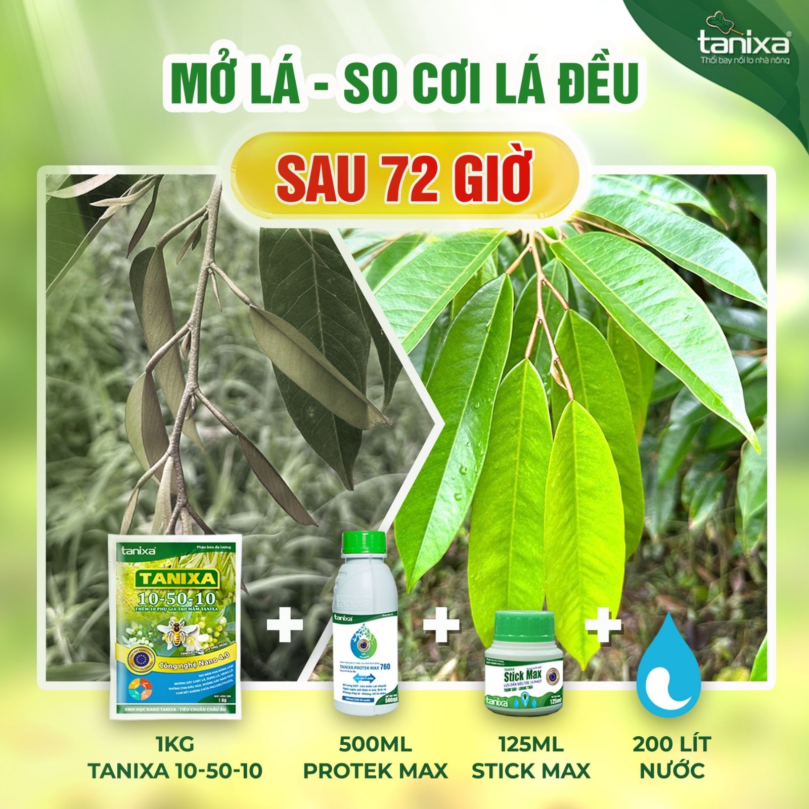 Bộ mở lá - So cơi Tanixa_thumbnail_7