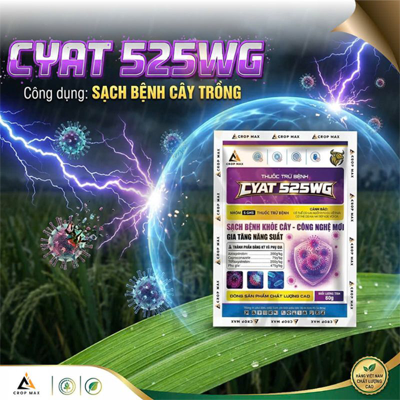 CYAT 525WG – Thuốc trừ bệnh phổ rộng, sạch bệnh nhanh, phục hồi cây mạnh_thumbnail_2