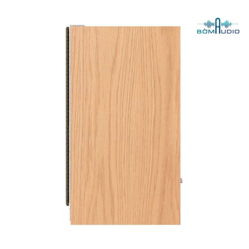 Loa Bookshelf PARAMAX EURO 801 SMART_thumbnail_2