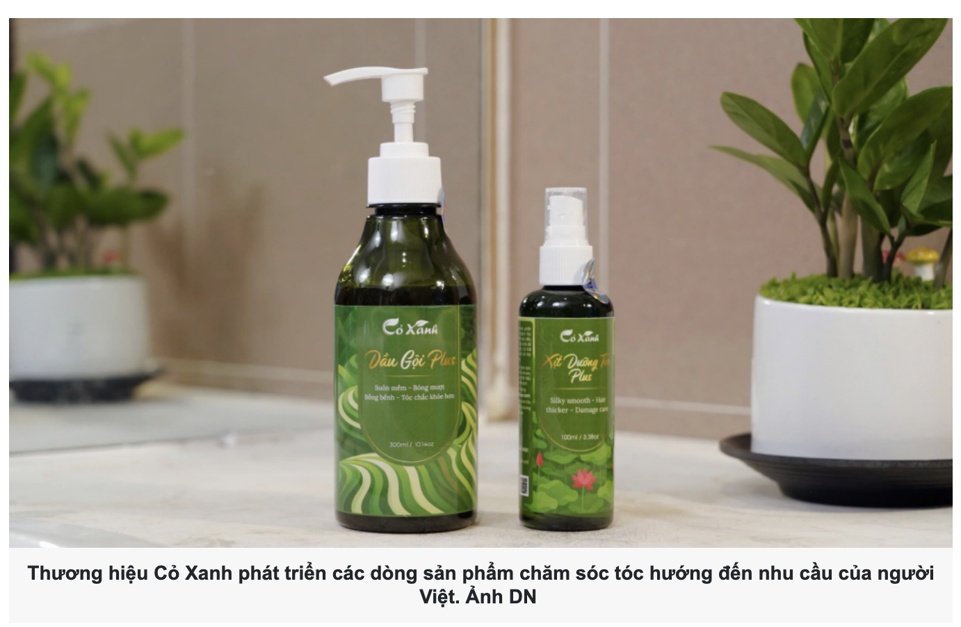 Thương hiệu Cỏ Xanh phát triển sản phẩm chăm sóc tóc phù hợp khí hậu Việt Nam