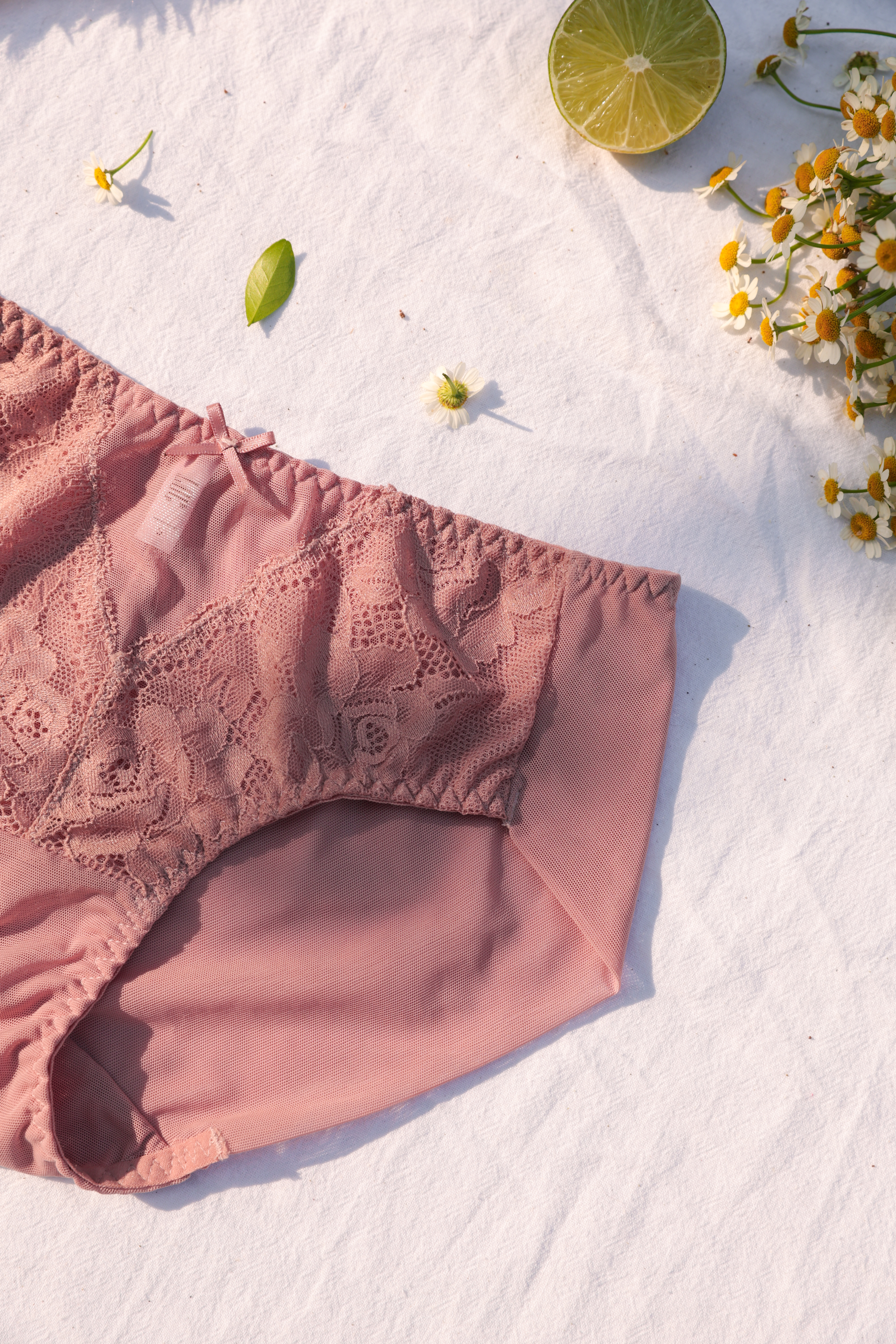 COMBO 3 Quần Lót LOC PREMIUM Lưng Vừa Phối Ren Trà My_thumbnail_2