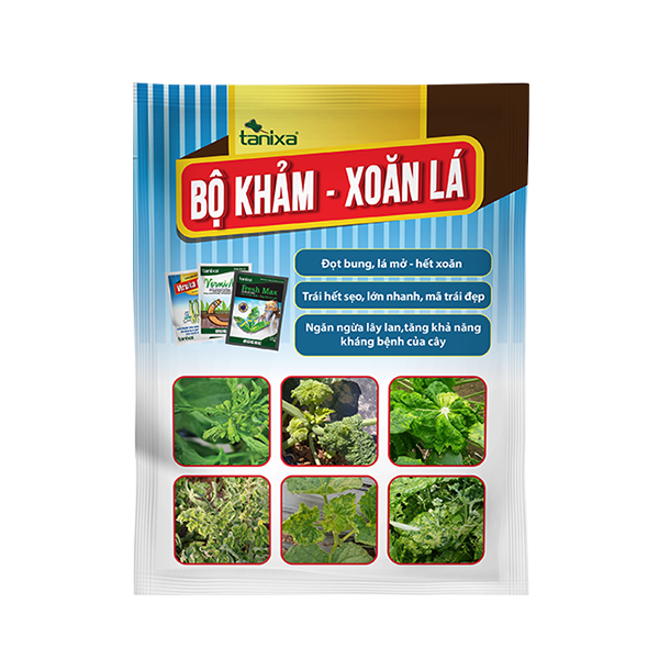 Bộ Khảm - Xoăn lá Tanixa (KM)