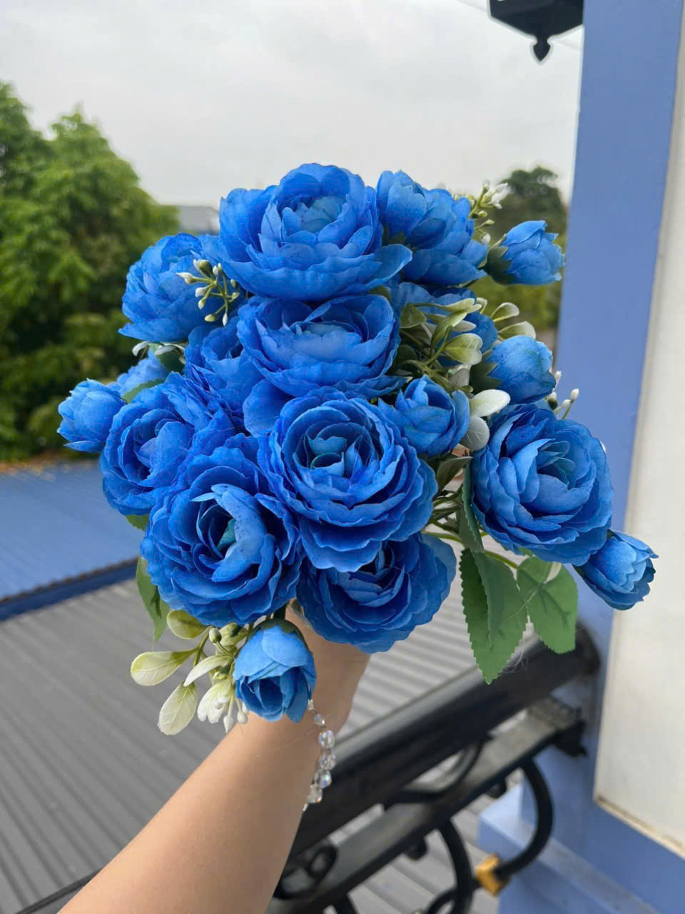 CỤM TRÀ NGỌC