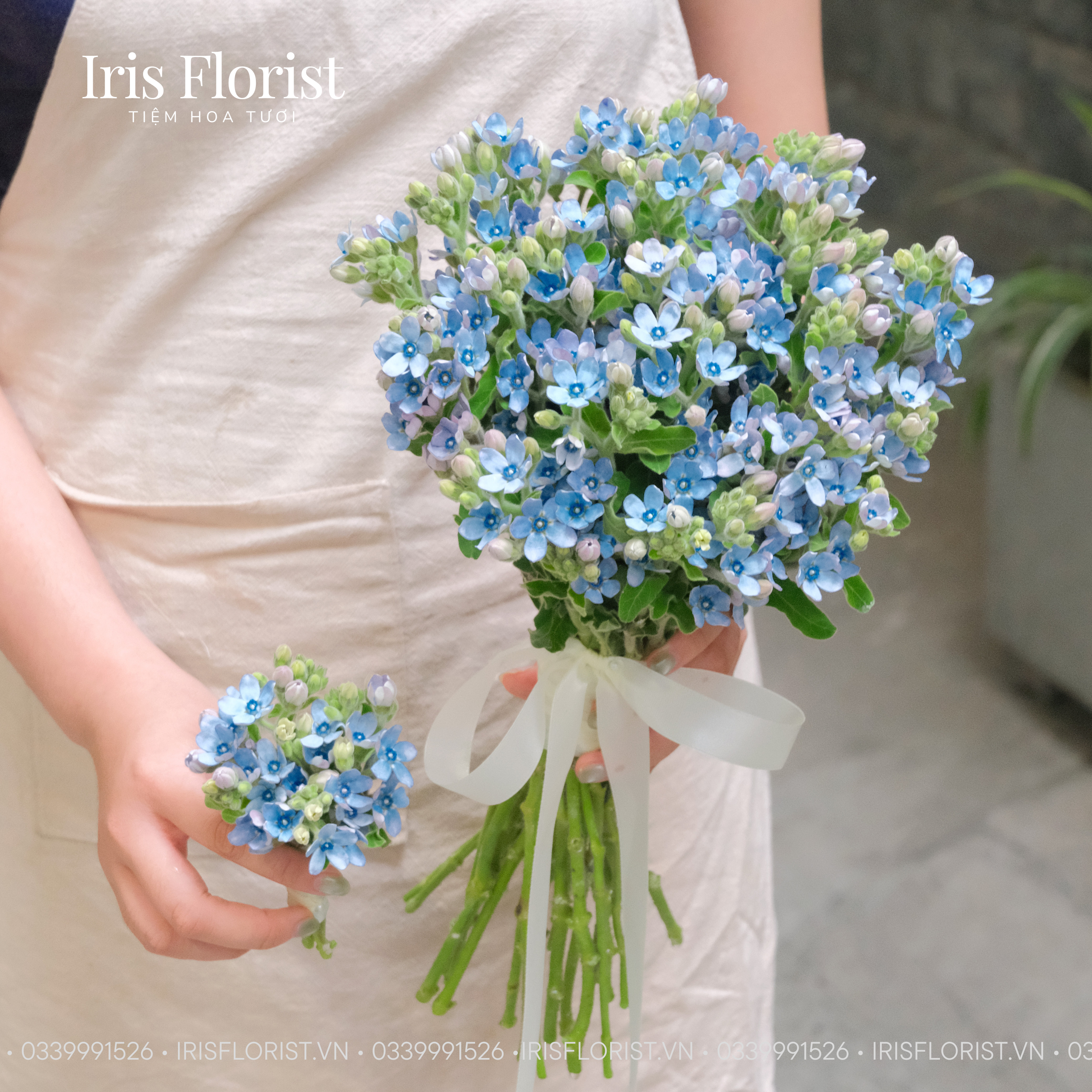 Bó hoa Lam tinh (Chụp Pre-wedding)