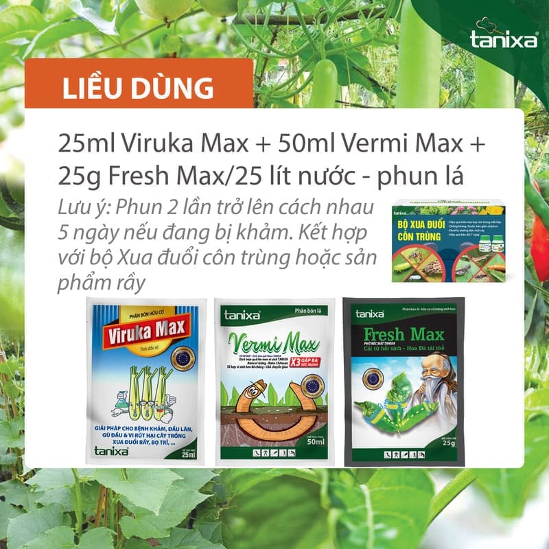 Bộ Khảm - Xoăn lá Tanixa (KM)_thumbnail_2