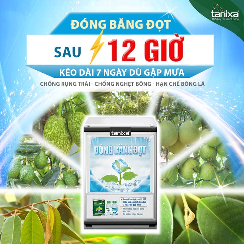 Bộ đóng băng đọt_thumbnail_1