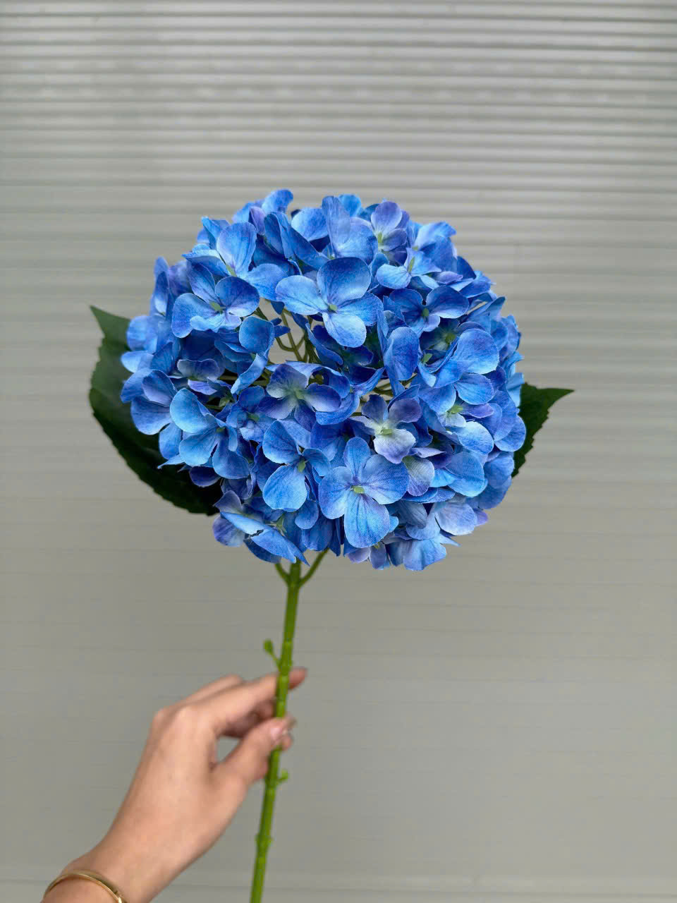 TÚ CẦU 3D