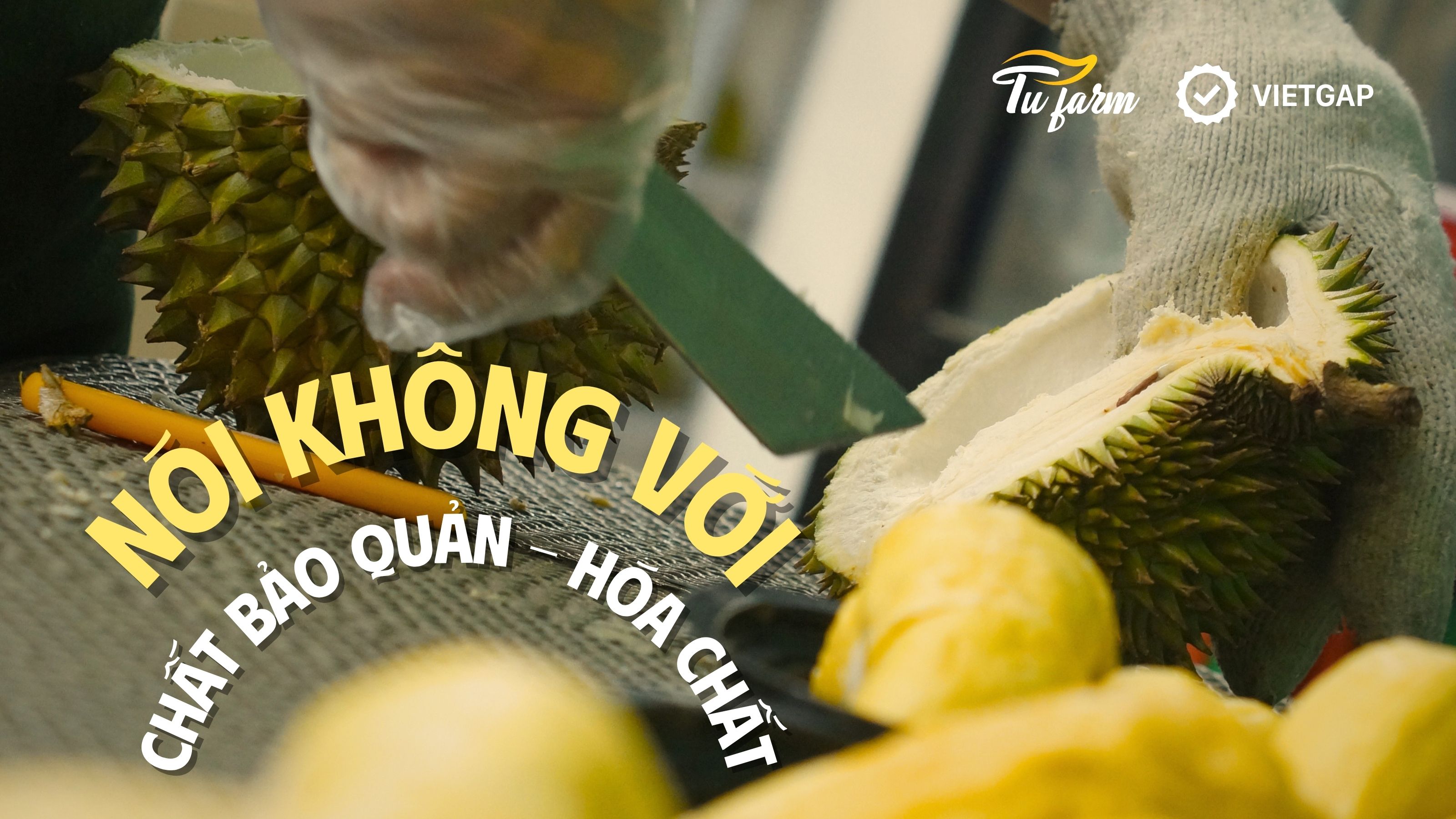 hướng dẫn bảo quản sầu riêng ri6