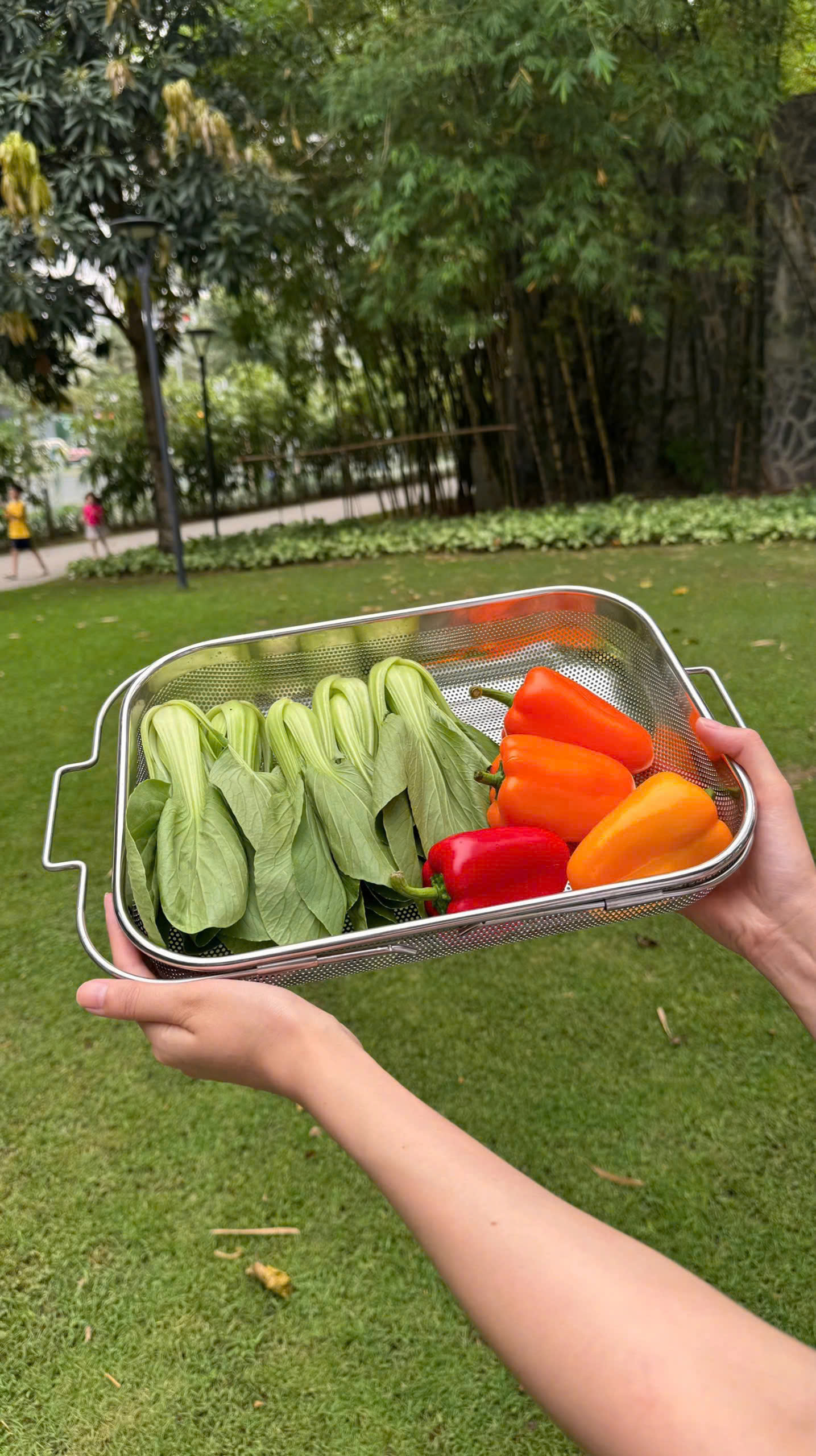 Rổ Inox Gác Bồn Rửa Chén_thumbnail_8