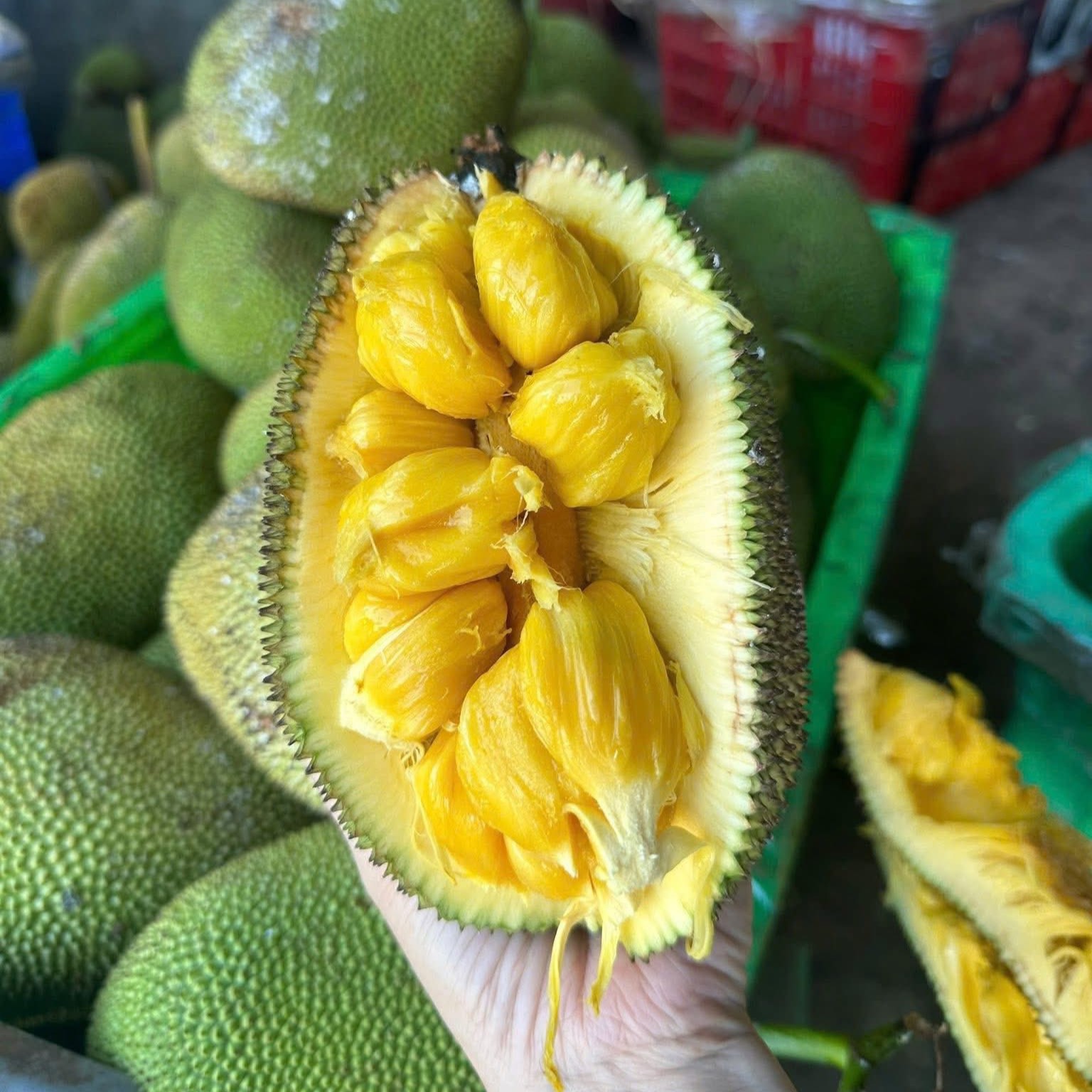 Mít Tố Nữ_thumbnail_0