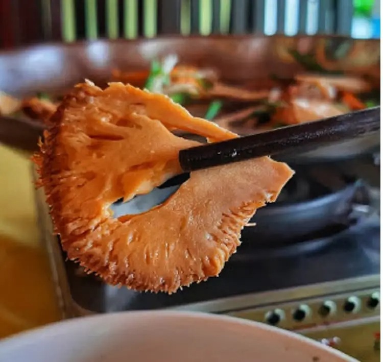 Nấm hầu thủ khô_thumbnail_3