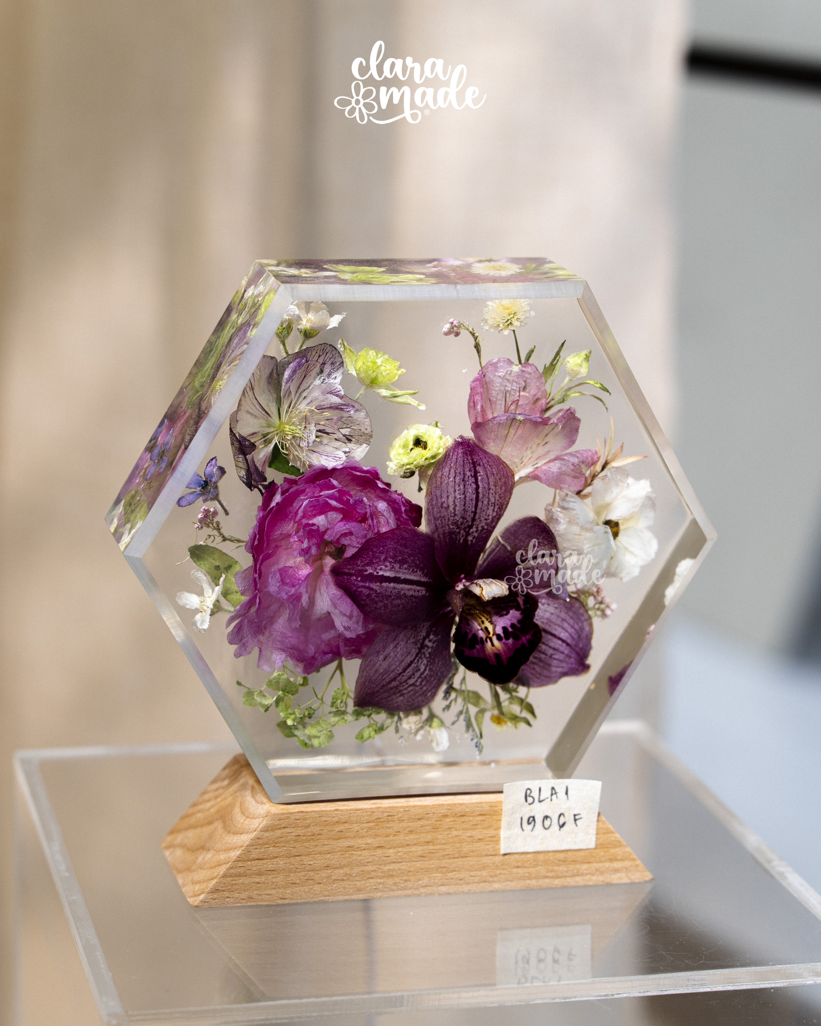Đèn hoa khô Bloomlight Garden_thumbnail_13
