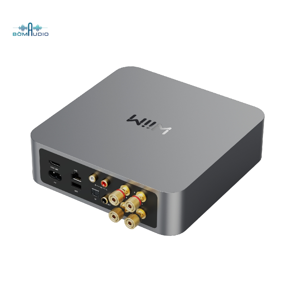 Music Streaming Amplifier WIIM AMP_thumbnail_7