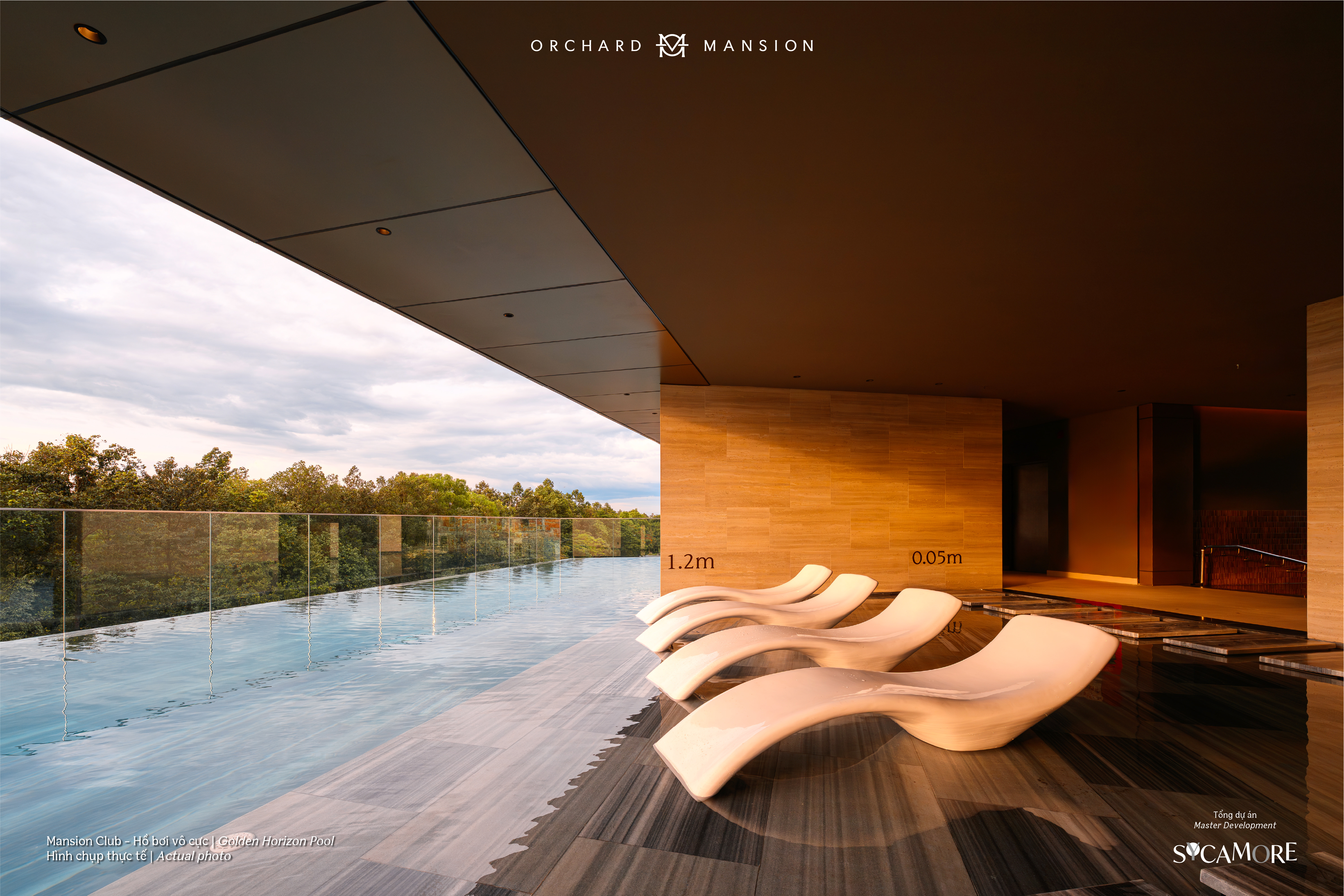 MC Golden Horizon Pool_1