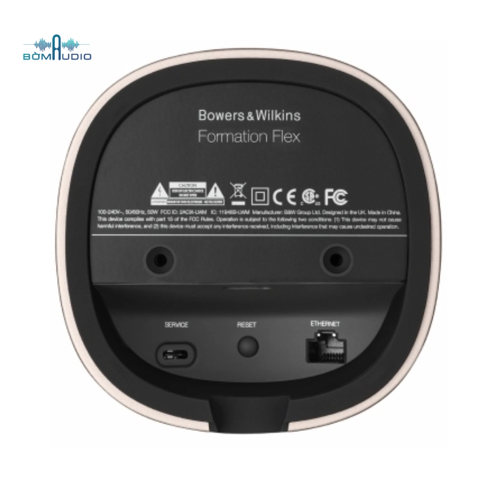 Loa Bluetooth Cao Cấp B&W FORMATION FLEX_thumbnail_3