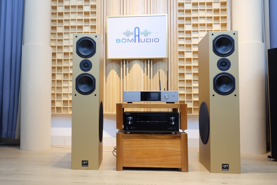 Hình ảnh chụp thực tế Combo Amply DBaucostic LX-H5 + loa Paramax D88 Luxury