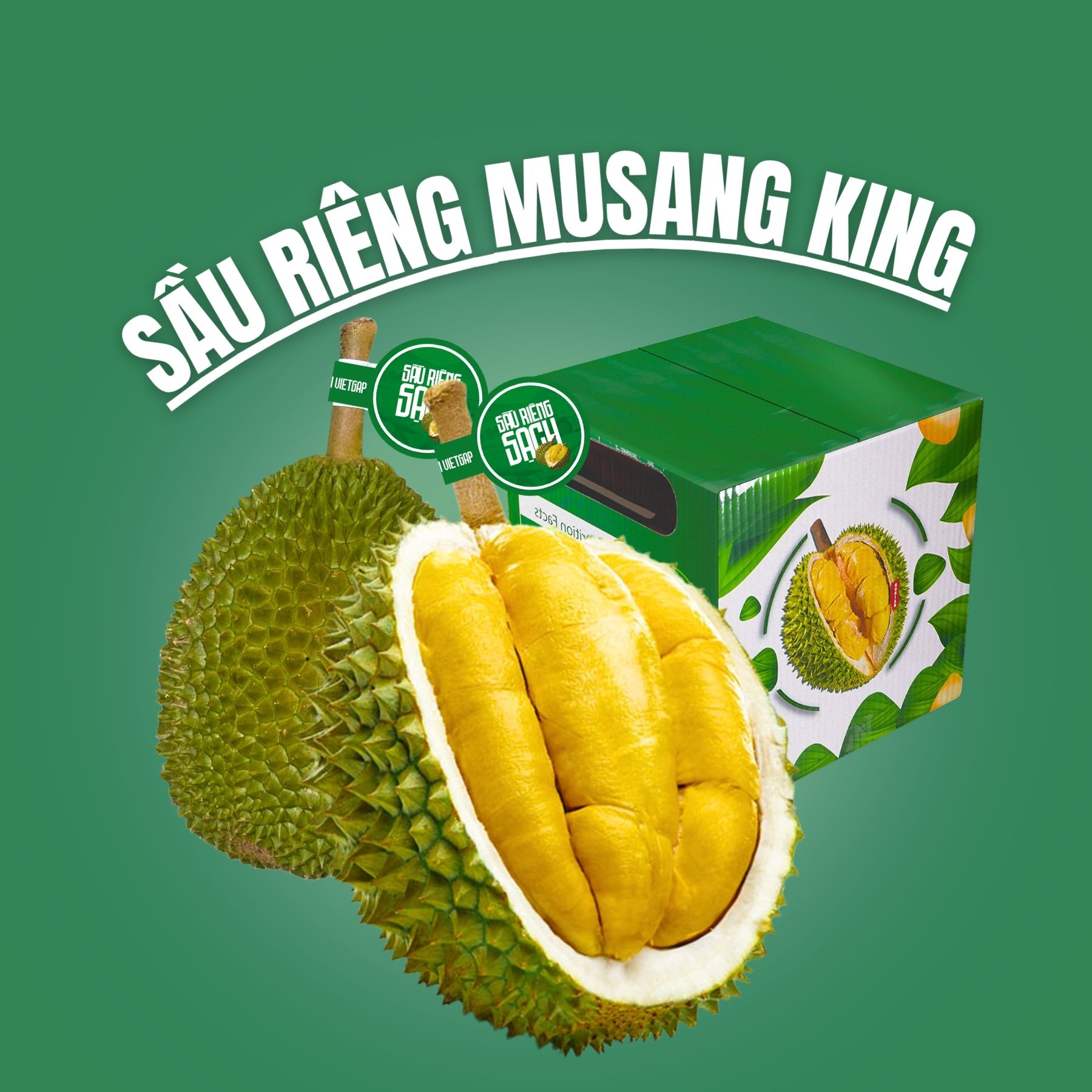 Trái - Sầu riêng Musang King - Khui sầu_thumbnail_0