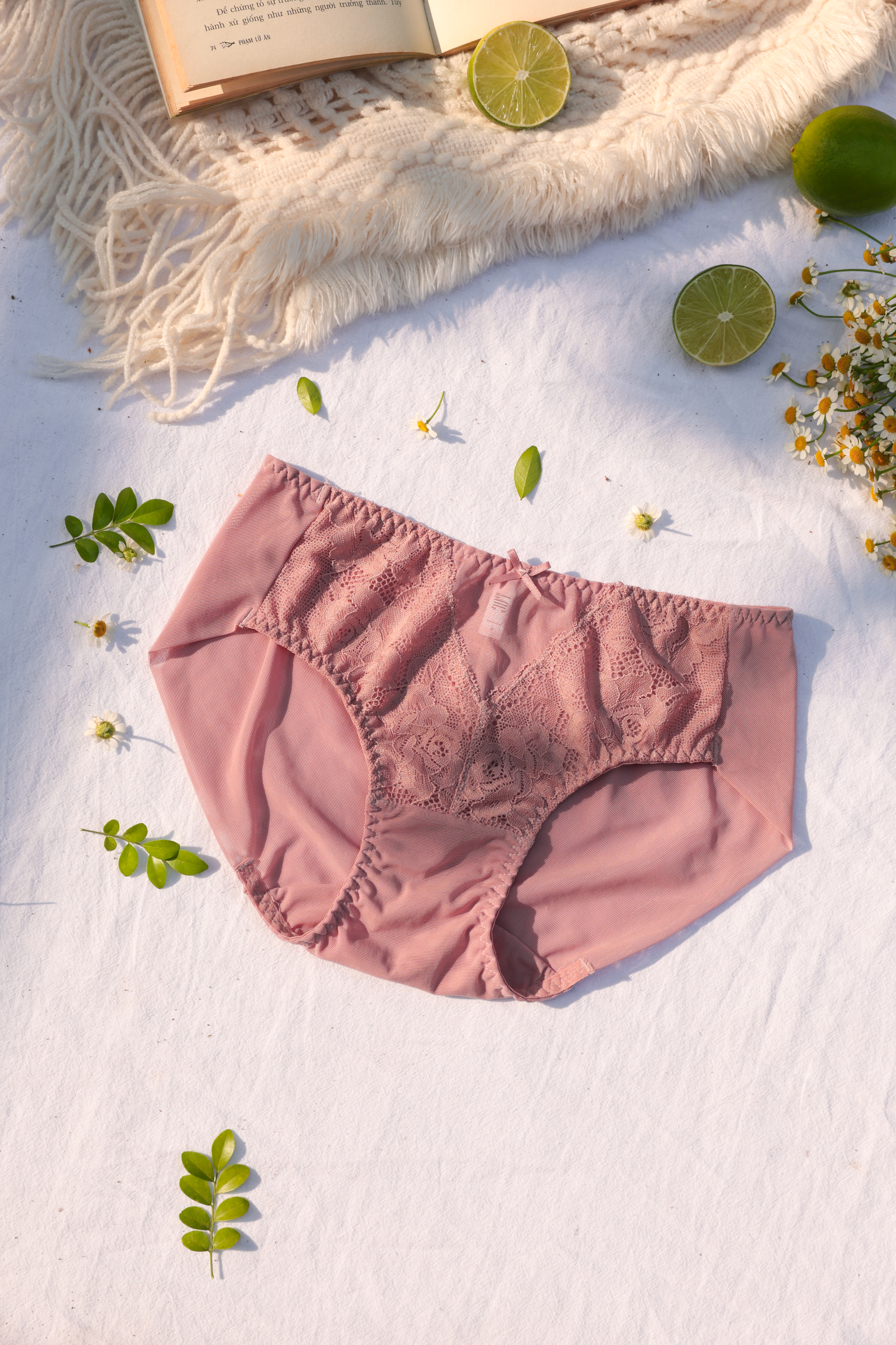 COMBO 3 Quần Lót LOC PREMIUM Lưng Vừa Phối Ren Trà My