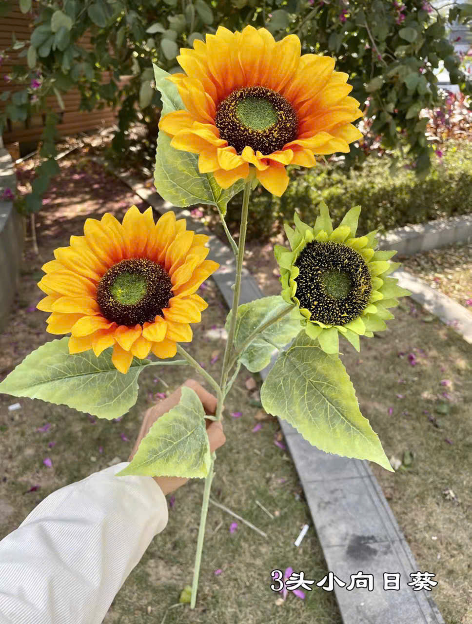 Hoa Hướng Dương Trang Trí Đám Cưới – Tươi Sáng Rực Rỡ, Năng Lượng Tích Cực, Bền Đẹp Giá Tốt_thumbnail_3
