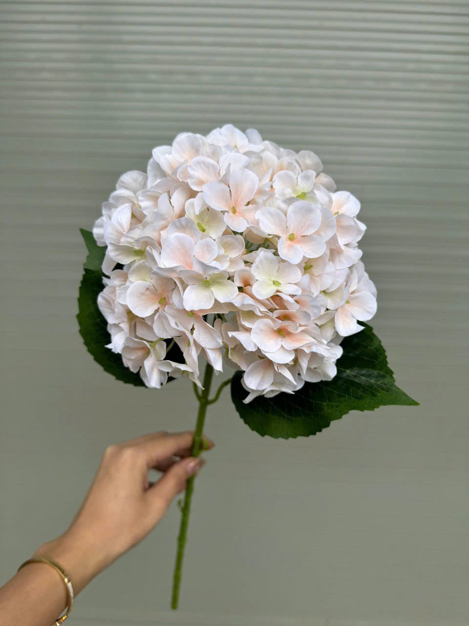 TÚ CẦU 3D_thumbnail_3