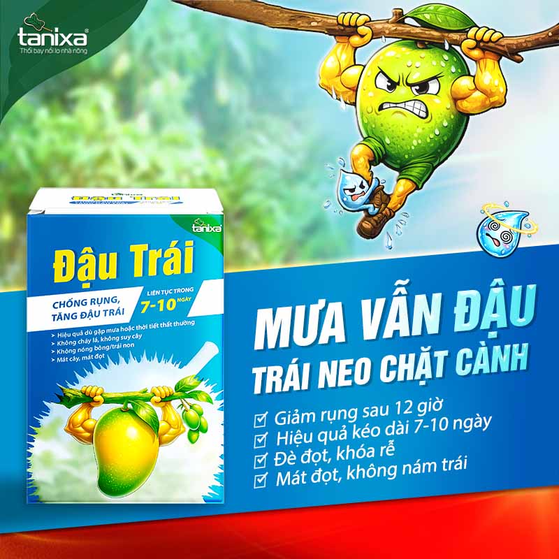 Bộ đậu trái Tanixa (nhỏ)_thumbnail_1