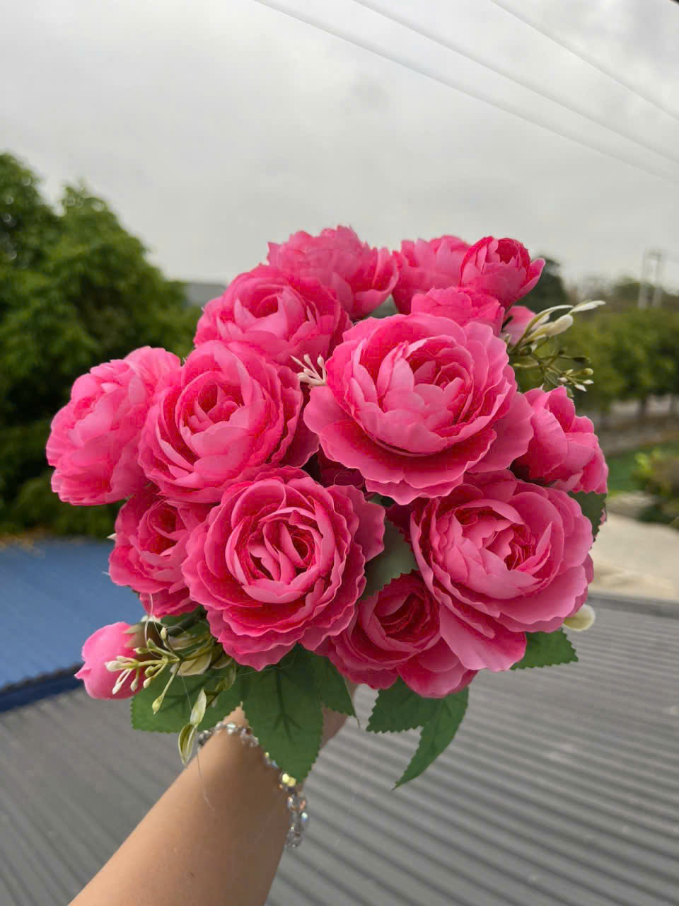 CỤM TRÀ NGỌC_thumbnail_7