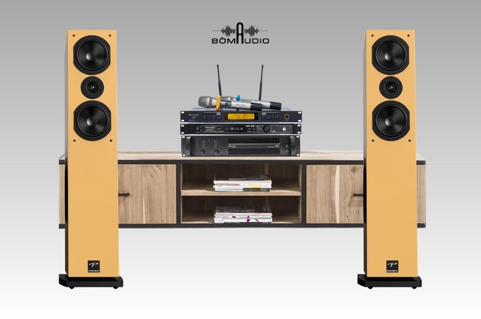 Combo Cục Đẩy DBAUCOUSTIC B2800 + Vang Số DBAUCOUSTIC S700PLUS + Micro DBAUCOUSTIC 450II + Loa PARAMAX D88 LUXURY - B48