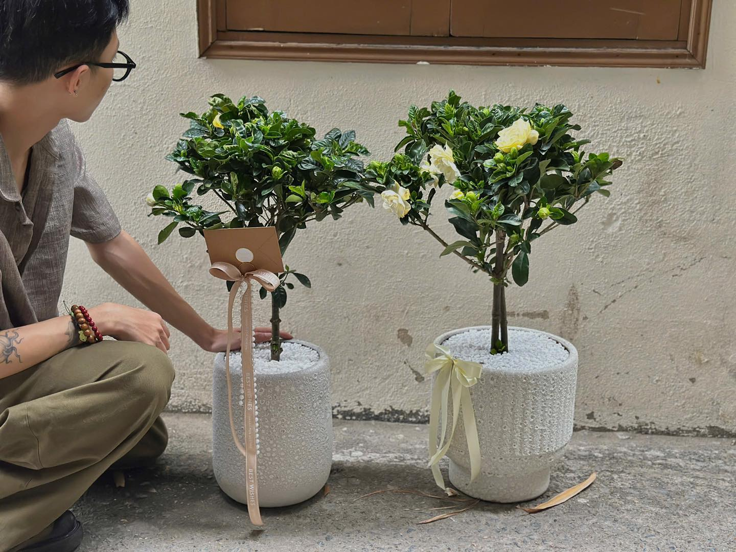 BẠCH THIÊN HƯƠNG_thumbnail_0